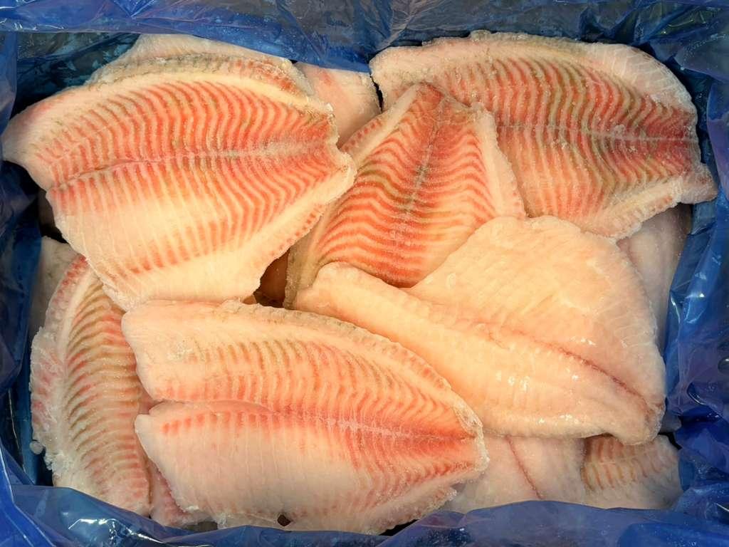 basa fillet, cá basa đông lạnh, frozen basa, tra fillet, white fish fillet